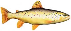Gaby plyšová ryba Pstruh potoční 62cm