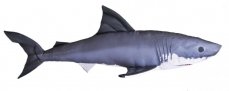 Gaby plyšová ryba Žralok mini 53cm