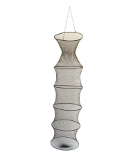 York vezírek s kruhy, průměr 35cm