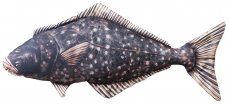 Gaby plyšová ryba Halibut 72cm