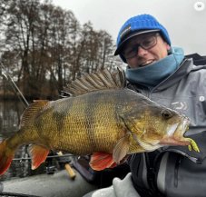 Daiwa gumová nástraha Prorex Urban Shrimp 6cm