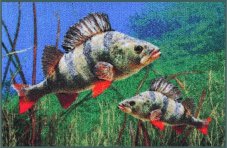 Delphin rohož 3D Okouni