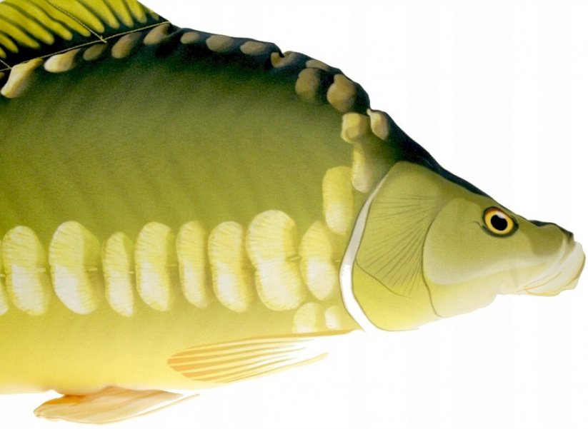 Gaby plyšová ryba Kapr lysec 61cm
