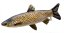 Gaby plyšová ryba Amur 75cm