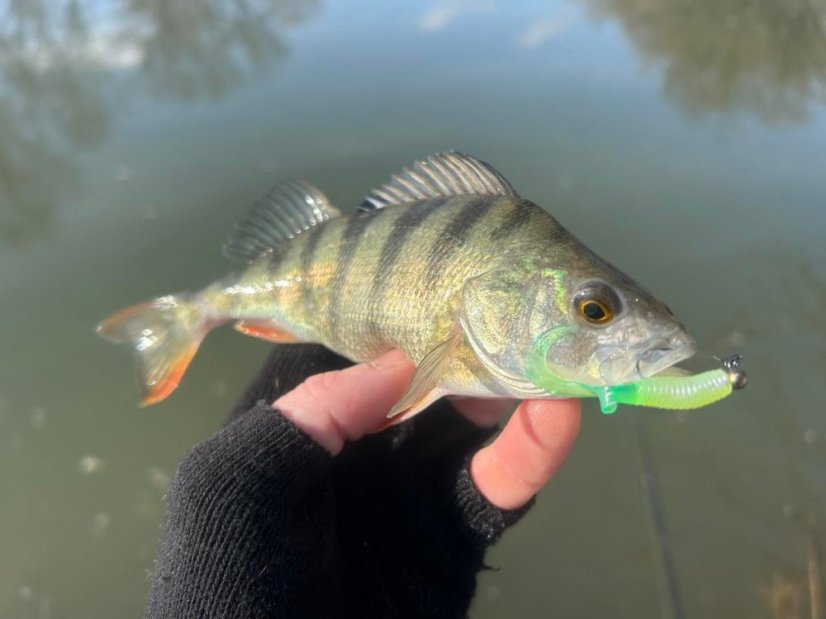 Tenki gumová nástraha twister 4cm