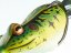 Daiwa gumová nástraha D-Frog 6cm