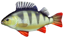 Gaby plyšová ryba Okoun říční 32cm/50cm