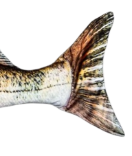 BeCare plyšová ryba Candát – realistický polštář ve tvaru candáta