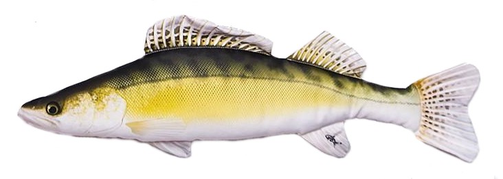 Gaby plyšová ryba Candát obecný mini 50cm