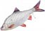 Gaby plyšová ryba Plotice obecná 52cm
