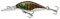 Cormoran wobler Belly Diver Mini 3,8cm