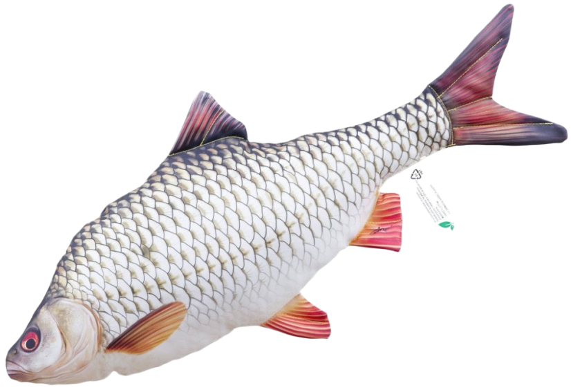 Gaby plyšová ryba Plotice obecná 52 cm – realistický polštář