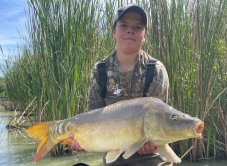 Daiwa rybářské tričko Infinity Advantage Timber T-shirt