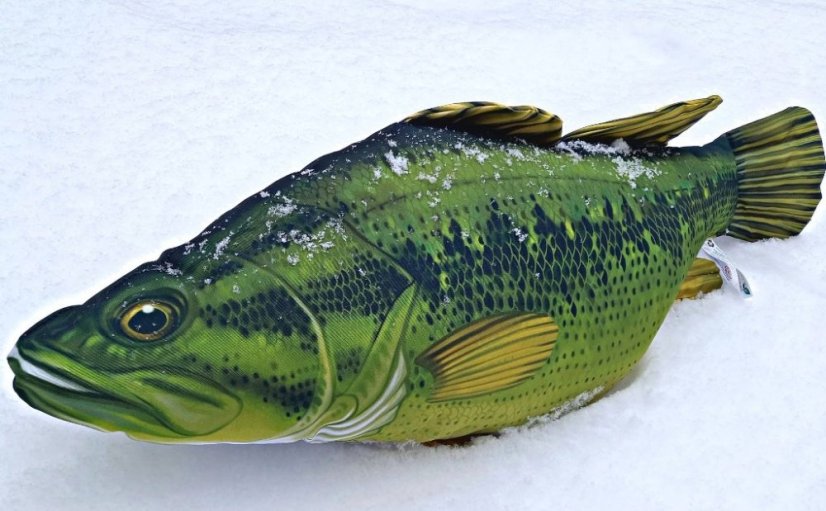 Gaby plyšová ryba Okounek pstruhový - foto od zákazníka