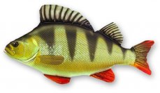 Gaby plyšová ryba Okoun říční mini 32cm