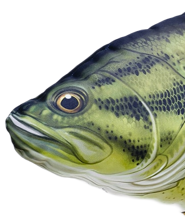 Gaby plyšová ryba Okounek pstruhový - detail hlavy