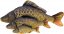 Gaby plyšová ryba Kapr mini šupináč 36cm