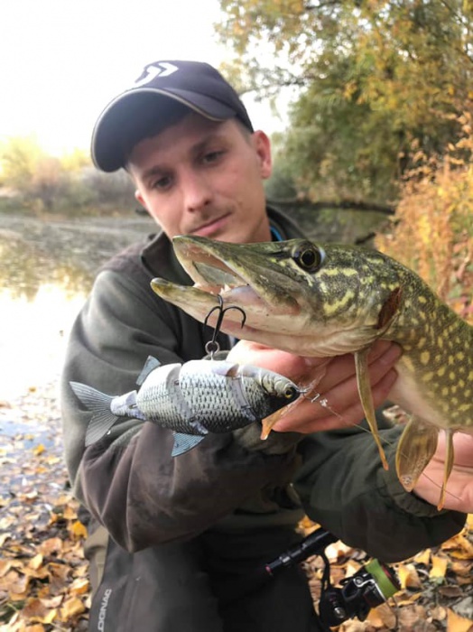 Cormoran wobler ME-RA Shad S 11cm