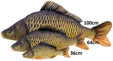Gaby plyšová ryba – kapr šupináč 36cm/64cm/100cm