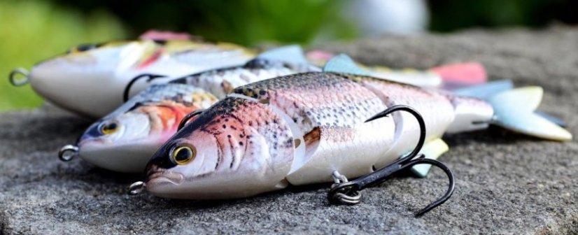 Cormoran wobler ME-RA Roach S 11cm