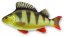 Gaby plyšová ryba Okoun říční mini 32cm