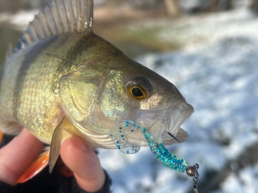 Tenki gumová nástraha twister 2,5cm 50kusů