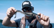 Fox Rage gumová nástraha sumec Catfish Replicant