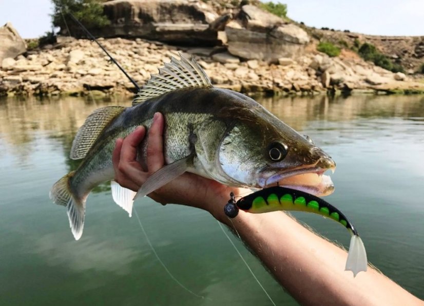 Daiwa gumová nástraha Mermaid Shad DF 10cm