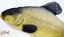 Gaby plyšová ryba Lín obecný 60cm
