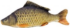 Gaby plyšová ryba Kapr mini šupináč 36cm