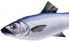 Gaby plyšová ryba Sleď obecný mini 37cm