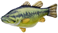 Gaby plyšová ryba Okounek pstruhový 67cm Gaby plyšová ryba Okounek pstruhový 67cm