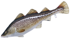 Plyšová ryba Treska obecná Gaby – dárek a dekorace pro rybáře