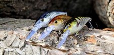 Cormoran wobler Belly Diver N 7,2cm