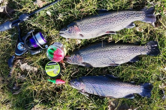 Cormoran gumová nástraha Belly Rib 6,5cm 5ks česnek
