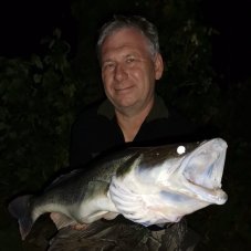 Cormoran wobler Shad Striker-F 13cm natural perch