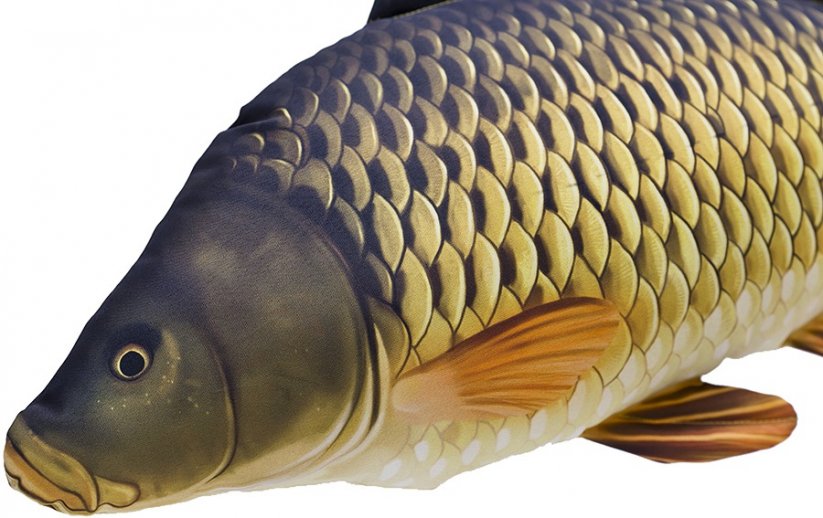 Gaby plyšová ryba Kapr šupináč 64cm